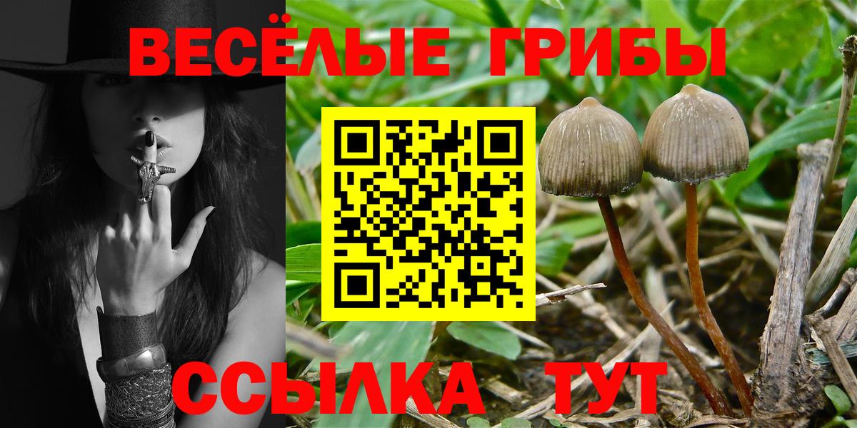 Томск  купить закладку  Вход с VPN  Псилоцибиновые грибы ЛСД 